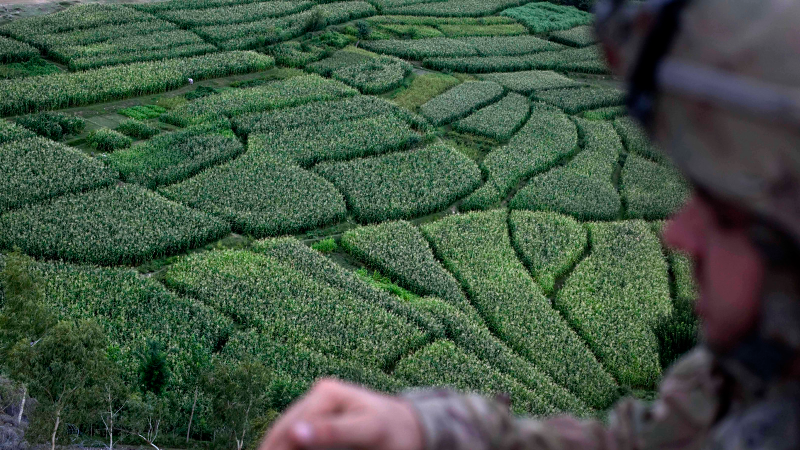 Illustration for article titled 23 Amazing Labyrinths To Get Lost In